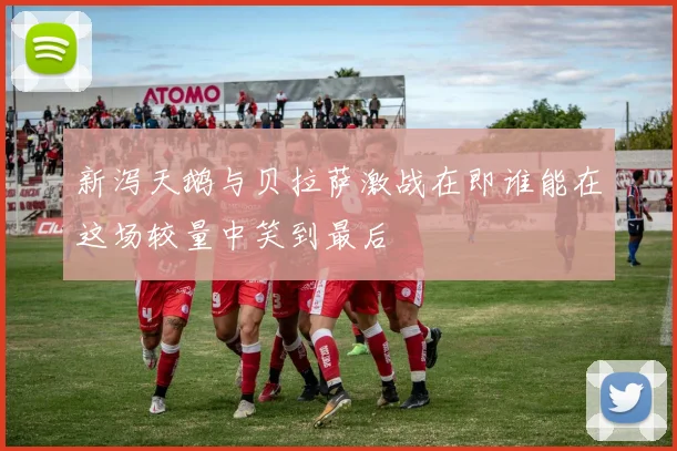 新泻天鹅与贝拉萨激战在即谁能在这场较量中笑到最后