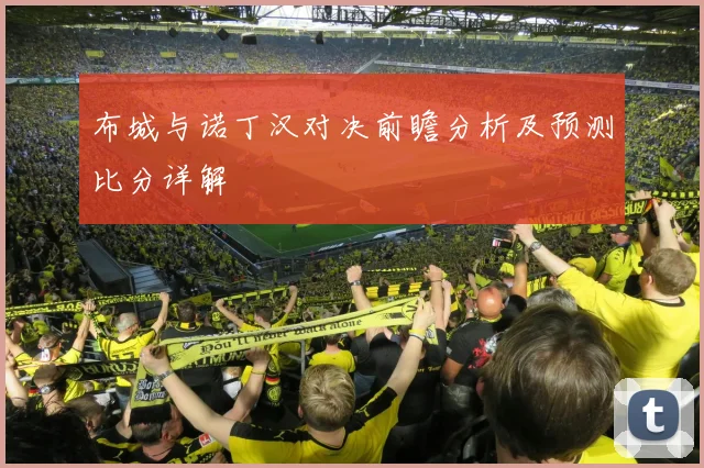 布城与诺丁汉对决前瞻分析及预测比分详解