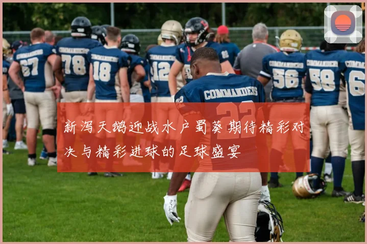 新泻天鹅迎战水户蜀葵期待精彩对决与精彩进球的足球盛宴
