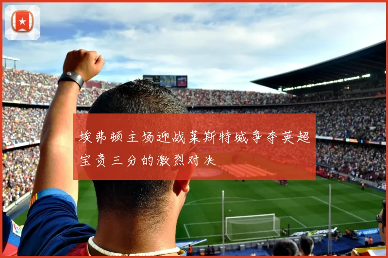 埃弗顿主场迎战莱斯特城争夺英超宝贵三分的激烈对决