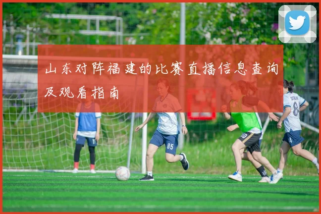 山东对阵福建的比赛直播信息查询及观看指南