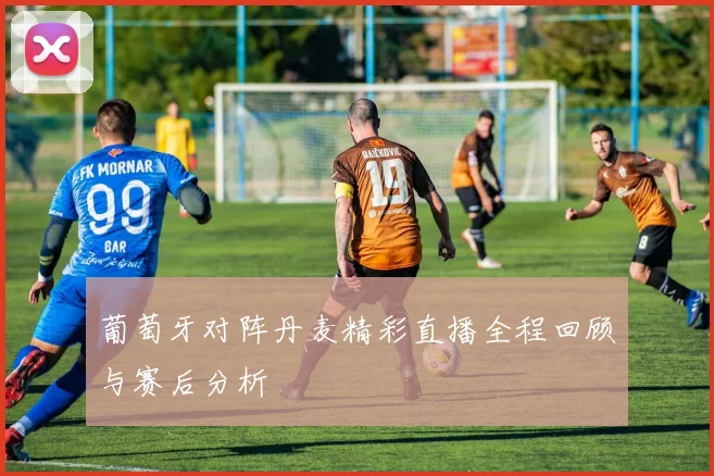 葡萄牙对阵丹麦精彩直播全程回顾与赛后分析