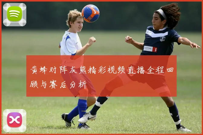 黄蜂对阵灰熊精彩视频直播全程回顾与赛后分析