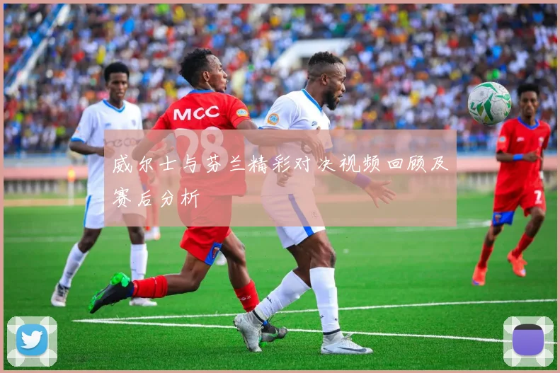 威尔士与芬兰精彩对决视频回顾及赛后分析
